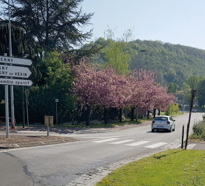 Une réunion publique se tiendra en mairie le 26 avril à 19h au sujet de la requalification de la départementale reliant Vernon à Giverny. Cette route touristique va faire l’objet d’aménagements à valeur ajoutée. La création d’espaces de stationnement et de ralentisseurs améliorera sa sécurité. Des trottoirs végétalisés conféreront également une qualité paysagère à cette voie. Ainsi, l’entrée de Vernon sera embellie, comme le prévoit l’engagement n°25 de Vernon Mérite Mieux.