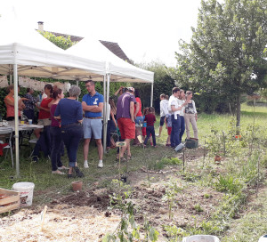 Moins de bitume, plus de légumes !