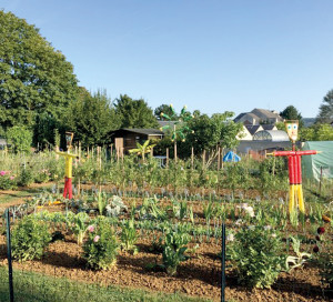 Actuellement, tous les jardins sont occupés, mais il est possible de s’inscrire en ligne sur une liste d’attente via le compte citoyen.