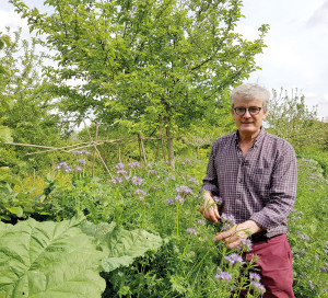 L’agriculture de conservation des sols permet de les protéger et de les faire revivre