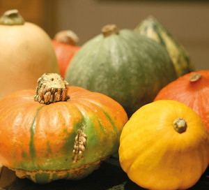 Vernon a de nouveau son association pour le maintien de l’agriculture paysanne (Amap) !