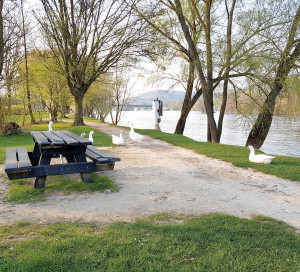 endant toute la durée du confinement, les équipes de l’entreprise SEPUR ont continué à nettoyer la ville. Grâce à la baisse d’activité, les rues de Vernon ont rarement été aussi propres ! Elles doivent le rester, même après le 11 mai. La mairie invite tous les habitants à être respectueux. Rappelons que toute pollution est passible d’amende.