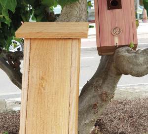 Photo démocratie participative nichoirs