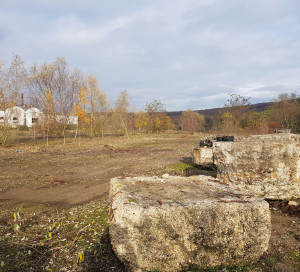 Le site a entièrement été débroussaillé à l’exception de certains arbres qui seront intégrés dans le futur parc.