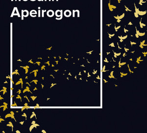 Le Livre du Mois Apeirogon Colum McCann Médiathèque de Vernon