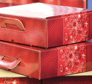 Observatoire des engagements livraison colis de noel seniors