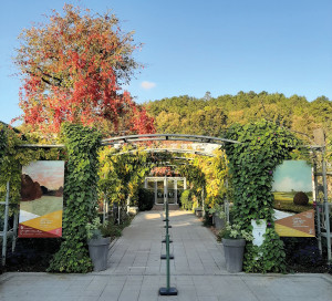 Culture Musée des Impressionnismes Giverny MDIG fermeture nouvelle expo 2021