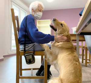 Grand Angle Médiation Animale