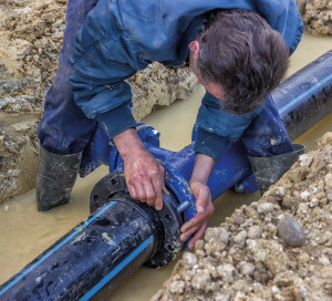 shutterstock_240133351