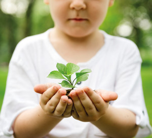 Little boy holding soil and plant in the park
