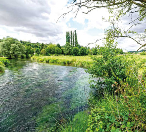 (remplace) SNA Natura 2000 Animation Gestion Grottes du Mont Roberge Valle¦üe de l_Epte