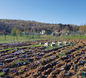 Infotravaux Extension Jardins Familiaux