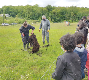 Moutons Béliers Boutardes Tonte Ecopâturage Chèvres Enfants CLAS Centre Social Pénitents