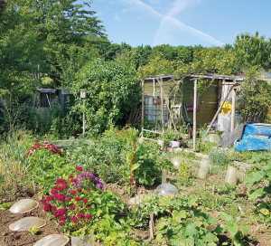 Jardins Familiaux Prix 2021 du plus beau jardin belle girouette Valmeux