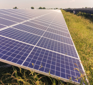 Solar power plant, solar panel array, solar modules surrounded by green grass Renewable, clean energy, alternative energy from nature.