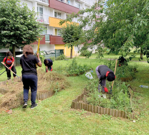 Chronique Vernon Toujours Plus Verte réhabiliation ajrdins Valmeux