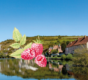 Visuels-TIS-1200x900----VD