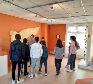 Musée de Vernon Audiodescription Jeunes CLAS Centres Sociaux ELV BPM