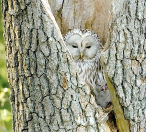 Culture Mois Du Doc Médiathèque Cinéma Films Documentaires