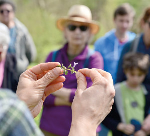 CD27 Découvrez la Nature dans l_Eure 2022 Animations Gratuites Mai Octobre