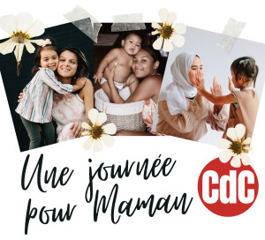 Rose Floral Féminin Scrapbook / Montage Général Vœux Fête d