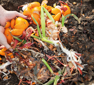 Man,Making,Compost,At,Garden