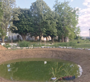 Chronique Vernon Toujours Plus Verte Une mare à la manufacture