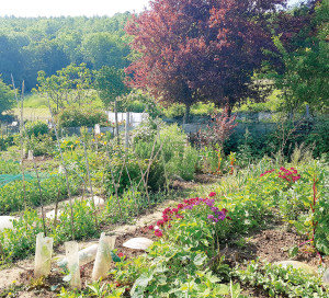 Nouvelle photo Fête Jardins Familiaux