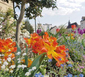 Nouvelle Photo 3 Fleurs Vernon Toujours plus Verte