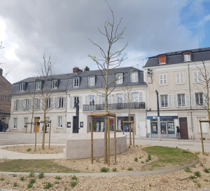 Article vrai faux bétonisation