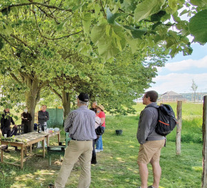 Chronique Vernon Toujours Plus Verte Manufacture des Capucins Atelier Rénovation Terrasses