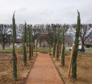 Renovation rond point AFN