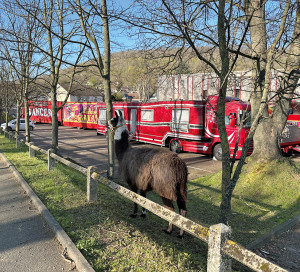 Observ-Engagement #117