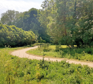 Observatoire des Engagements n°44 Seine à Vélo