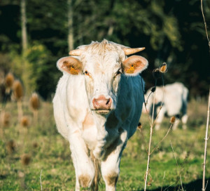 CD27 Green Quizz Questionnaire Transition Ecologique Plan Eure Verte Nature