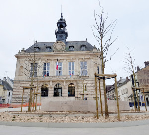 Coeur de Ville Plantation Citoyenne 9 décembre 2023 Place Barette Végétalisation