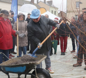 Grand Angle Plantation Citoyenne 9 décembre 2023 Place Barette Coeur de Ville