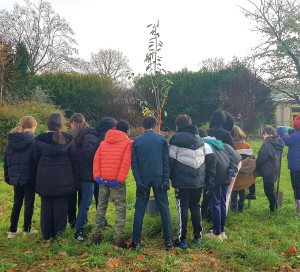 Plantation 10 Arbres Fruitiers Jardin Pédagogique Ecole Maxime Marchand Développement Durable