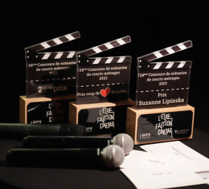 CD27 25e édition concours de scénarios courts-métrages Moulin d_Andé CECCI Cinéma