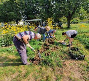 Les Actus de la Manufacture 175 Reprises Missions Bénévoles au Jardin
