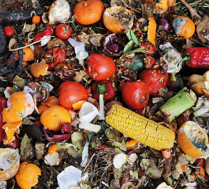 A terme, les déchets biodégradables devront être triés à la source.