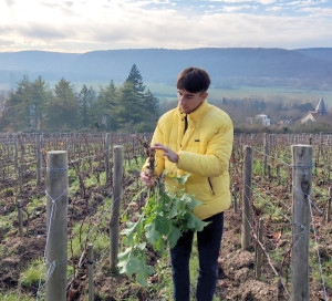 Office de Tourisme Une Journée Normande Coteaux Seine Vignoble Giverny Camille Ravinet 13 avril 2024