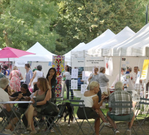 Observatoire des Engagements Simplifier Démarches Bénévoles Associations Proposition n°92