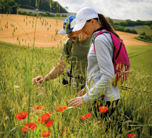 Office de Tourisme Nouvelle Normandie Randonnée Coteaux de Giverny