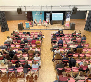 SNA Séance Plénière Conseil Local de Santé Mentale 2024 CLSM SISM