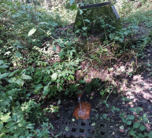 (CC) Wikimedia Commons