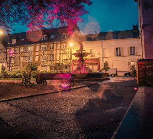 Observatoire des Engagement Extinction Nocturne Vitrines CDC Commerces