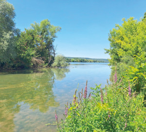 CD27 Concours qu_il est beau mon cours d_eau Photos Eure Seine Crues Dépatement