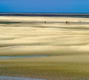 SNA Réseau des Médiathèques Thématique Eeau 2025 2026+
