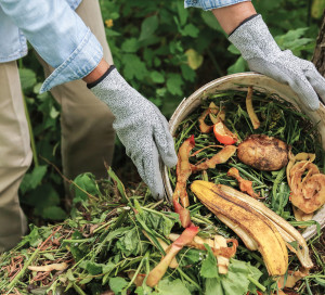 Zero waste, compost. Compost heap pile with bio waste. Farmer hands put weeds grass plants, vegetable fruit scraps in bucket for compost close up